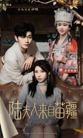 短剧《陆夫人来自苗疆》海报