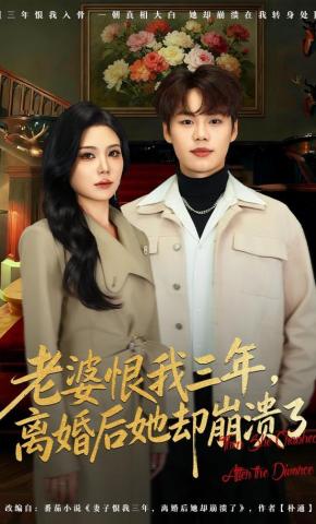 短剧老婆恨我三年，离婚后她却崩溃了海报