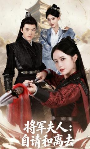 短剧将军夫人：自请和离去海报