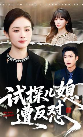 短剧《试探儿媳，遭反怼》海报