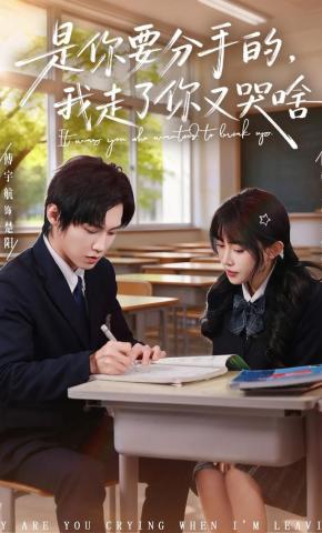 短剧《是你要分手的，我走了你又哭啥》海报