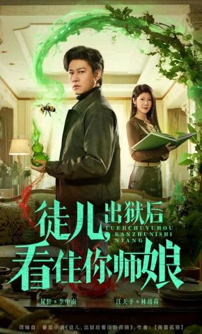 短剧徒儿，出狱后看住你师娘海报