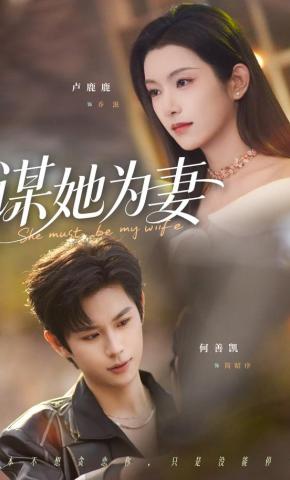 短剧谋她为妻海报