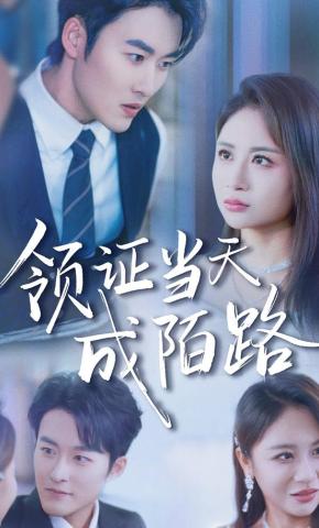 短剧《领证当天成陌路》海报