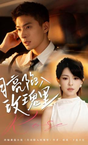 短剧《月亮陷入玫瑰里》海报