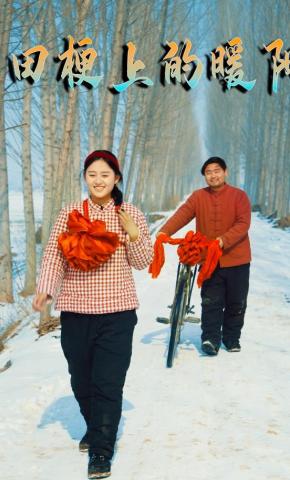 短剧《田梗上的暖阳》海报