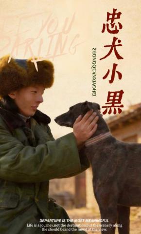 短剧《忠犬小黑》海报