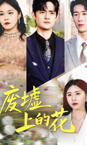 短剧废墟上的花海报