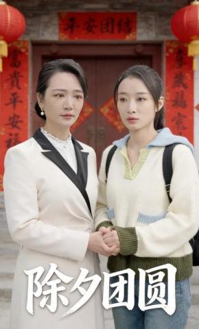 短剧除夕团圆海报