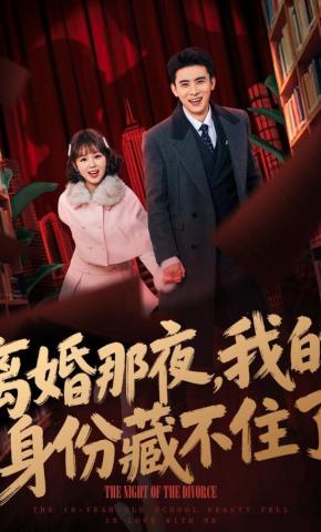 短剧《离婚那夜，我的身份藏不住了》海报