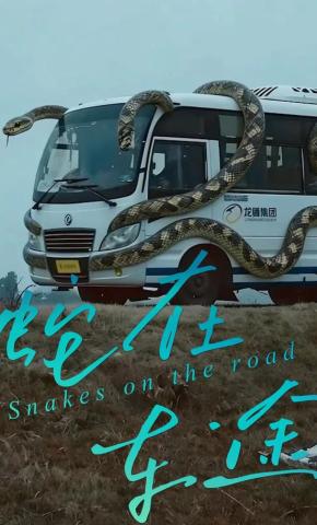 短剧《蛇在车途》海报