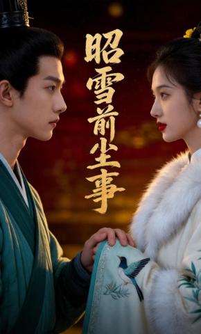 短剧《昭雪前尘事》海报