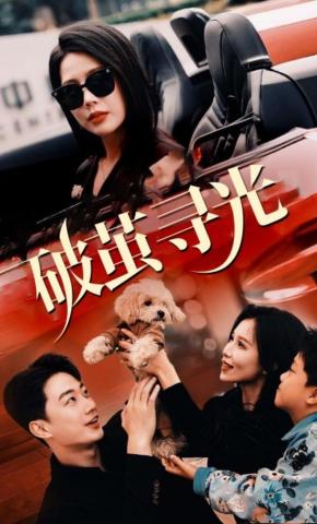 短剧《破茧寻光》海报