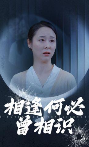 短剧《相逢何必曾相识》海报