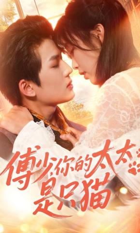 短剧《傅少，你的太太是只猫》海报