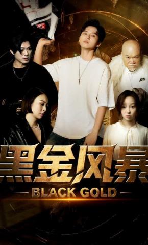 短剧黑金风暴海报