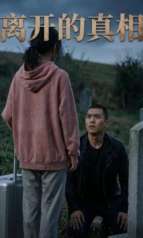 短剧《离开的真相》海报