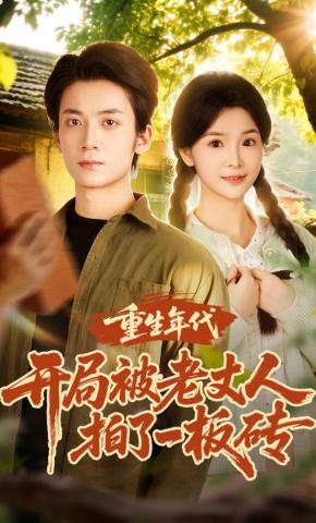 短剧《重生年代开局被老丈人拍了一板砖》海报
