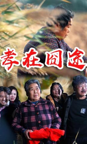 短剧孝在囧途海报