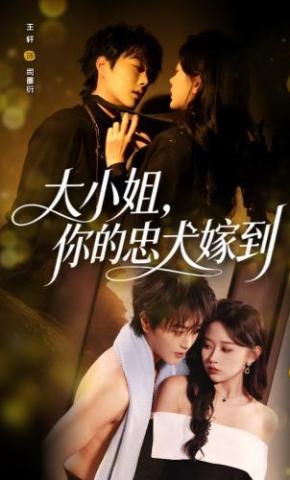 短剧《大小姐，你的忠犬嫁到》海报