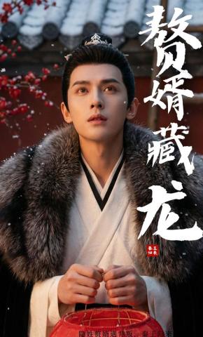 短剧《赘婿藏龙》海报