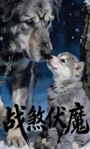 短剧《战煞伏魔》海报