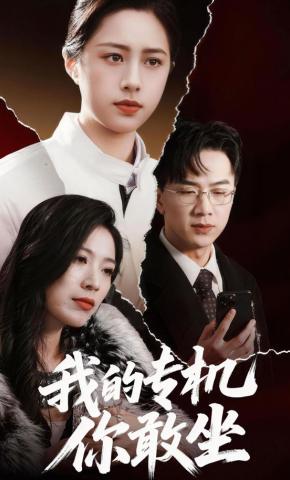 短剧《我的专机你敢坐》海报