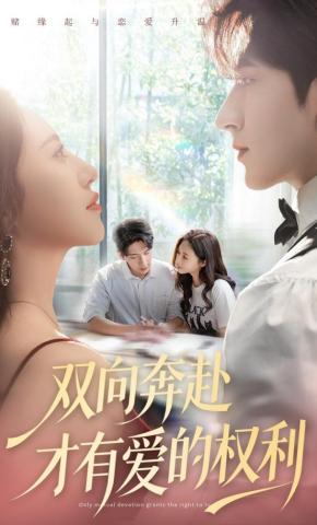 短剧《双向奔赴才有爱的权利》海报