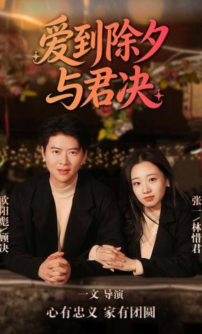 短剧《爱到除夕与君决》海报