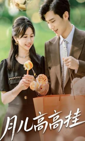 短剧月儿高高挂海报