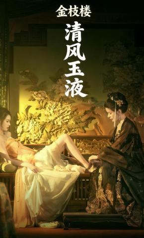 短剧清风玉液金枝楼海报