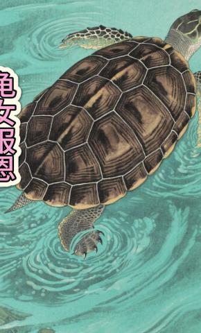 短剧《龟女报恩》海报