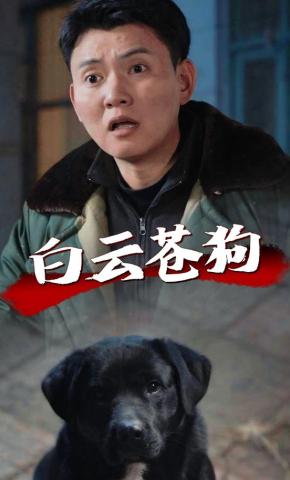短剧《白云苍狗》海报