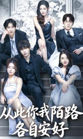 短剧《从此你我陌路，各自安好》海报