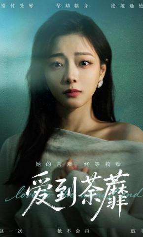 短剧《爱到荼蘼》海报