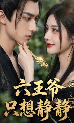 短剧《六王爷只想静静》海报