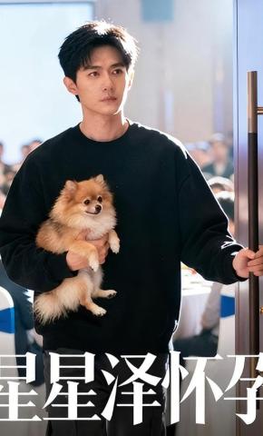 短剧《星星泽怀孕》海报