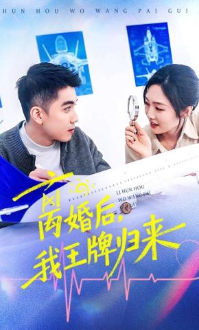 短剧离婚后，我王牌归来海报