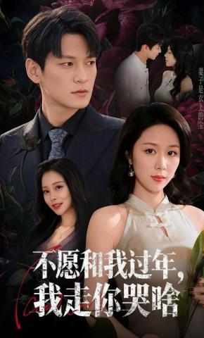 短剧《不愿和我过年，我走你哭啥》海报