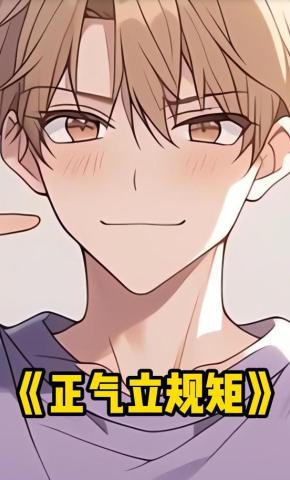 短剧《正气立规矩》海报