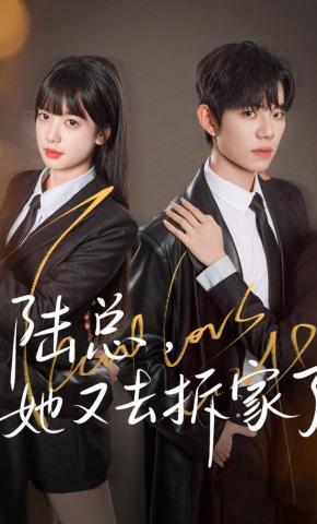 短剧《陆总，她又去拆家了》海报