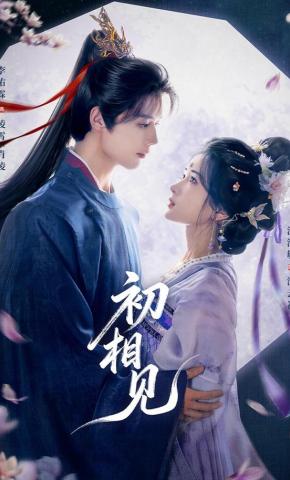 短剧初相见海报