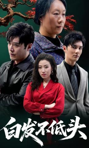 短剧白发不低头海报