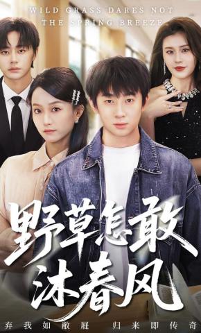 短剧《野草怎敢沐春风》海报