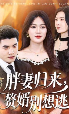 短剧《胖妻归来，赘婿别想逃》海报