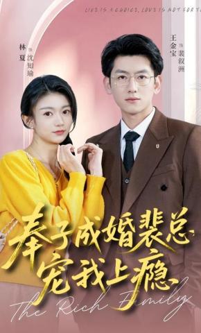 短剧奉子成婚裴总宠我上瘾海报