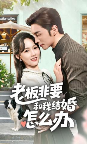 短剧老板非要和我结婚怎么办海报