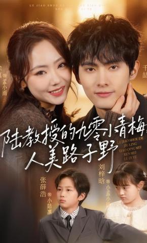 短剧陆教授的九零小青梅，人美路子野海报