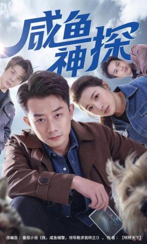 短剧咸鱼神探海报