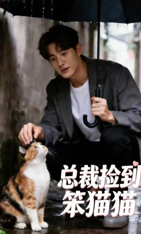 短剧《总裁捡到笨猫猫》海报